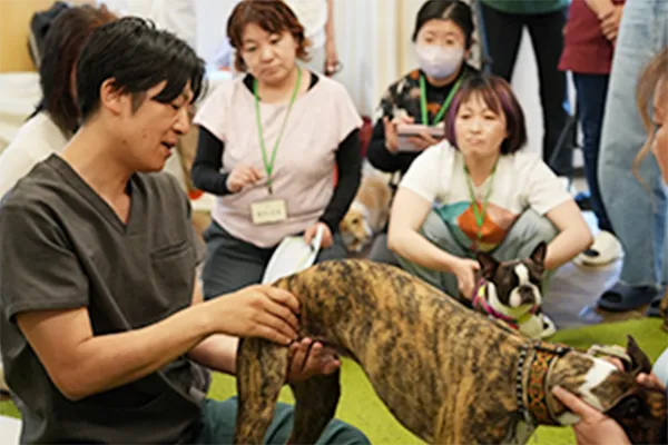 授業の様子