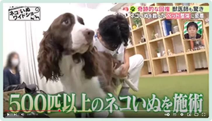 ペットの画像